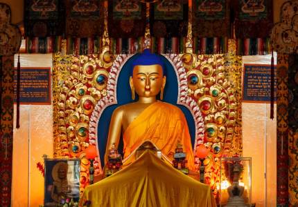 Amritsar–Dharamshala–McLeodganj: Kangra Valley Retreat