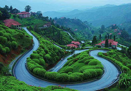 Dalhousie / Dharamshala Tour Taxi
