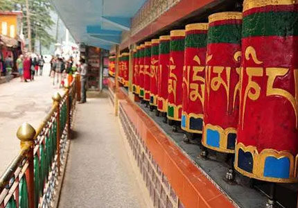 Chandigarh to Shimla, Manali & Dharamshala Tour