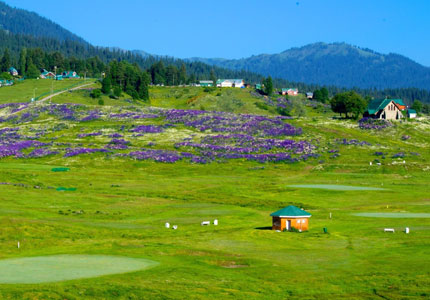 Amritsar–Srinagar: Dal Lake, Gulmarg & Kashmir Tour