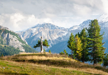Shimla to Dalhousie: Himalayan Road Trip