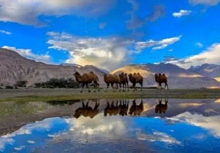 Ladakh / Spiti Tour Taxi