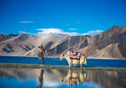 11 Days Leh–Ladakh Complete Tour from Chandigarh