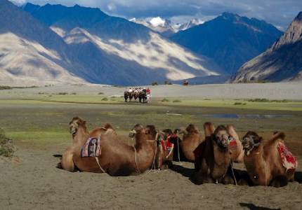 Ladakh Adventure Journey: Amritsar to Leh