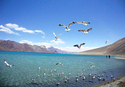 Amritsar Based Leh–Ladakh Adventure Journey