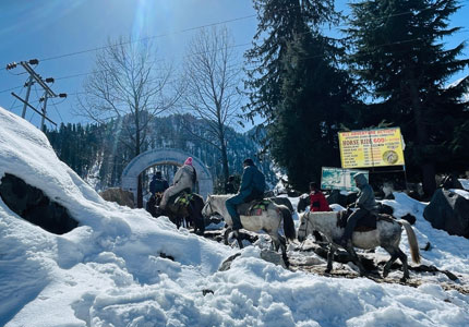 Chandigarh–Manali: Rohtang Pass & Solang Valley