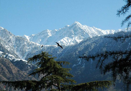 Amritsar–Dharamshala–McLeodganj: Kangra Valley Retreat