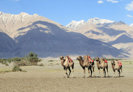 11 Days Leh–Ladakh Complete Tour from Chandigarh