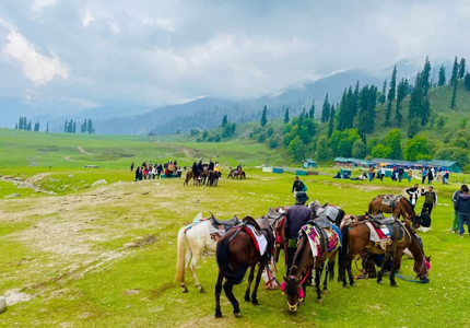 Amritsar–Srinagar: Dal Lake, Gulmarg & Kashmir Tour