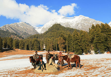 Chandigarh–Vaishno Devi–Kashmir Escape