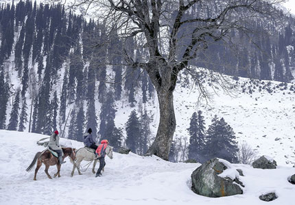 Chandigarh–Vaishno Devi–Kashmir Escape
