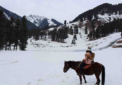 Chandigarh to Gulmarg & Pahalgam: Kashmir Journey