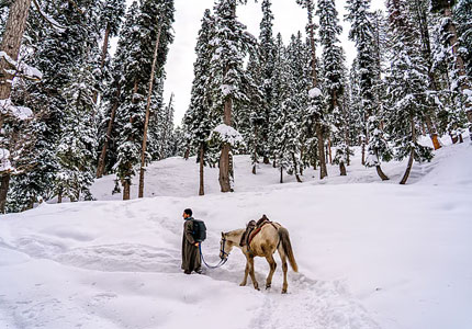 Chandigarh to Gulmarg & Pahalgam: Kashmir Journey