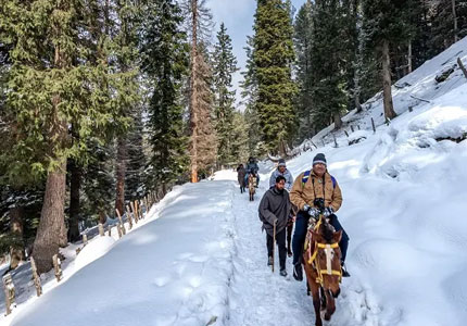 Srinagar Kashmir 7 Days Complete Tour Package
