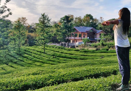 Dharamshala Palampur Tour with Amritsar