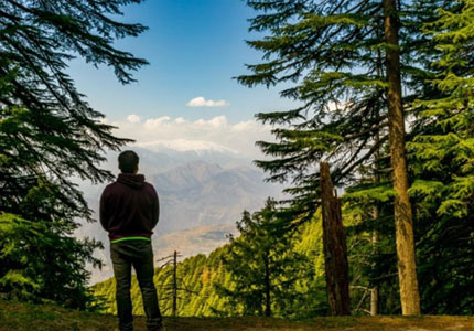 Shimla / Manali Tour Taxi