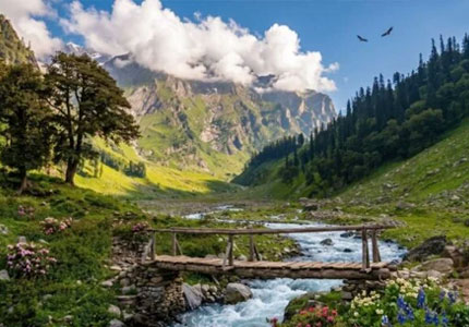 Amritsar to Kufri, Manali, Dharamshala & Khajjiar
