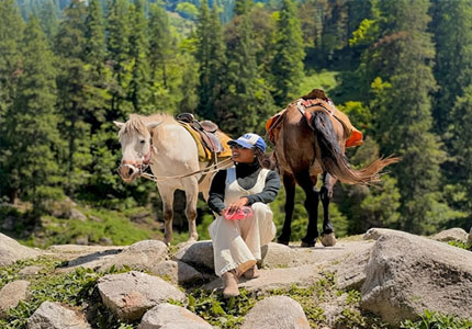Amritsar to Manali via Shimla Tour