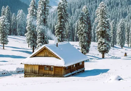 Amritsar Patnitop & Sonmarg Tour