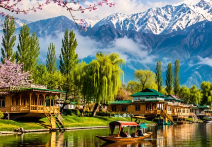 Paradise Kashmir Tour From Amritsar