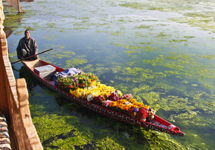 Srinagar / Kashmir Tour Taxi