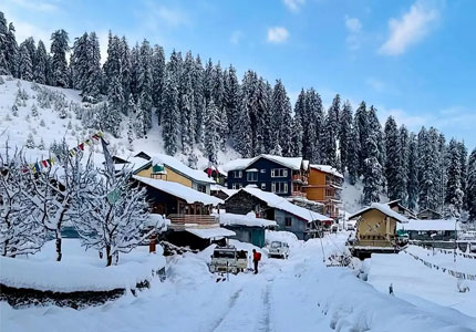 Chandigarh–Manali: Rohtang Pass & Solang Valley